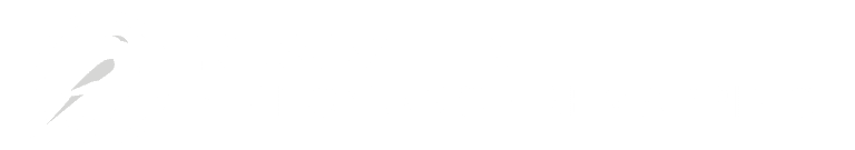 Raven Perfomance Remapping logo